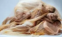 ‘Sapphire Creations Dance Company’ to celebrate International World Dance Day ‘Sapphire Creations Dance Company’ to celebrate International World Dance Day