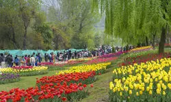 Days after Pahalgam attack, 48 tourist sites in Kashmir shut amid security concerns