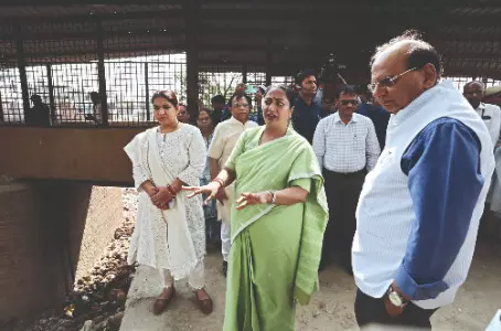 L-G, CM conduct joint review of water, drain projects across city L-G, CM conduct joint review of water, drain projects across city