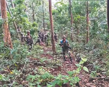 Security forces recapture Naxal-occupied hill Security forces recapture Naxal-occupied hill