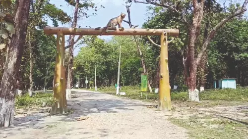 Rasikbeel Mini Zoo set for major renovation to boost eco-tourism Rasikbeel Mini Zoo set for major renovation to boost eco-tourism