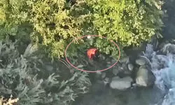 Kulgam man jumps into river, drowns; video surfaces as NC, PDP leaders cry foul Kulgam man jumps into river, drowns; video surfaces as NC, PDP leaders cry foul