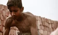 Alive Quest for Equity