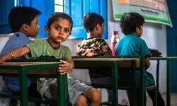 Lighthouses of Learning