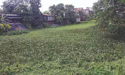 Balurghat’s shrinking water bodies spark environmental concerns Balurghat’s shrinking water bodies spark environmental concerns