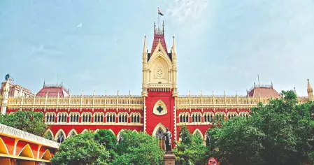 No cruelty sans wilful conduct causing grave health injury: HC No cruelty sans wilful conduct causing grave health injury: HC