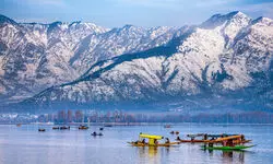 From the Edge of Caution