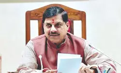 MP Cabinet clears ‘Haathi Mitra’ plan to tackle elephant-human conflict MP Cabinet clears ‘Haathi Mitra’ plan to tackle elephant-human conflict