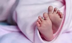 Born to Disappear? Born to Disappear?