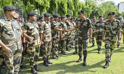 Bravehearts at borders