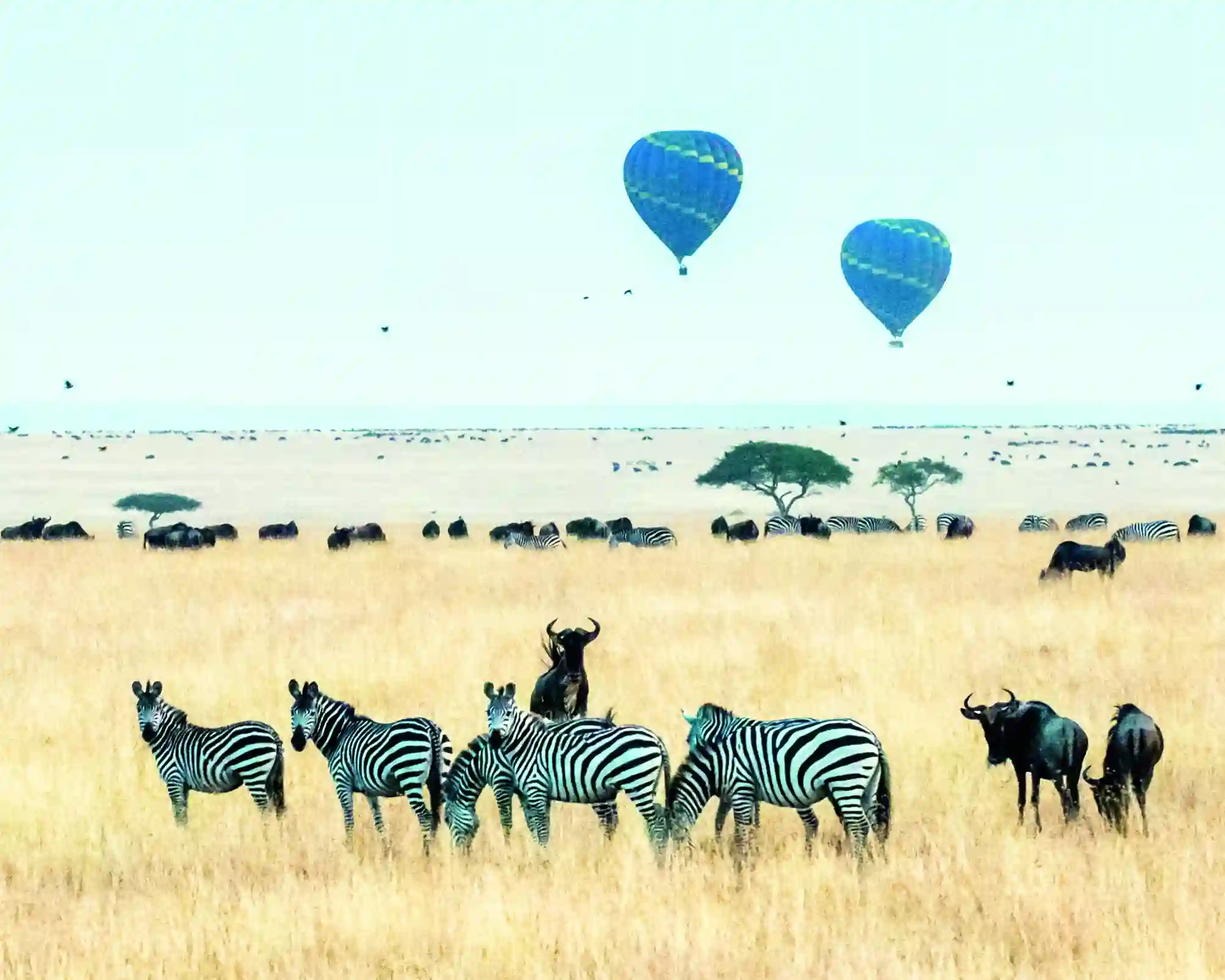 Kenya- Land of Unmarked Modernity