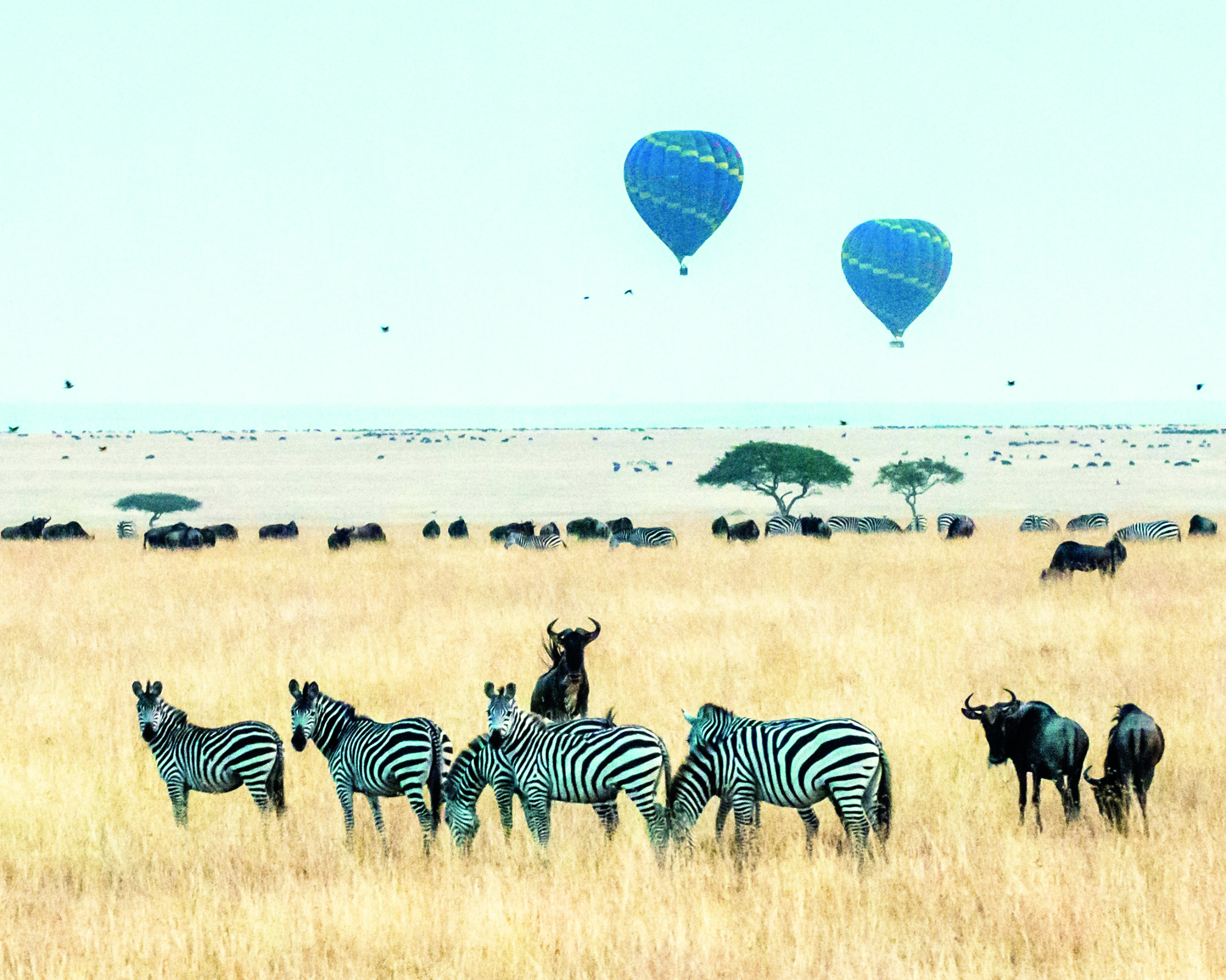 Kenya- Land of Unmarked Modernity