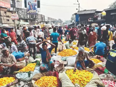 Preserving cultural significance: KMC plans Mullick Ghat flower market overhaul Preserving cultural significance: KMC plans Mullick Ghat flower market overhaul