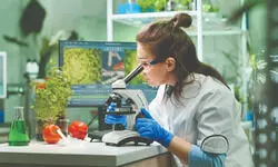 Beyond doctors & engineers: Careers for new generation Beyond doctors & engineers: Careers for new generation