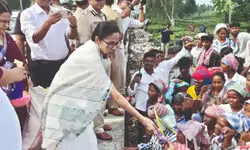 CM flags Darj tea adulteration, pushes for tourism boost