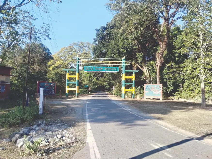 Buxa Tiger Reserve: ‘52-hectare area being transformed into grassland’ Buxa Tiger Reserve: ‘52-hectare area being transformed into grassland’