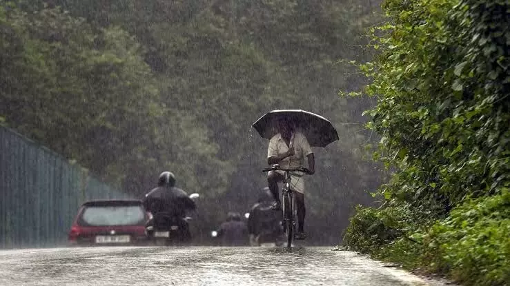 Monsoon reaches Kerala, earliest since 2009: IMD Monsoon reaches Kerala, earliest since 2009: IMD