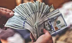 FDI inflows grow 13% to $50 bn in FY25 FDI inflows grow 13% to $50 bn in FY25