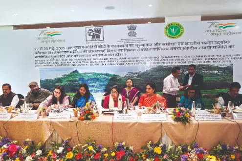 Parliamentary Standing Committee discusses means to strengthen GI for Darjeeling tea Parliamentary Standing Committee discusses means to strengthen GI for Darjeeling tea