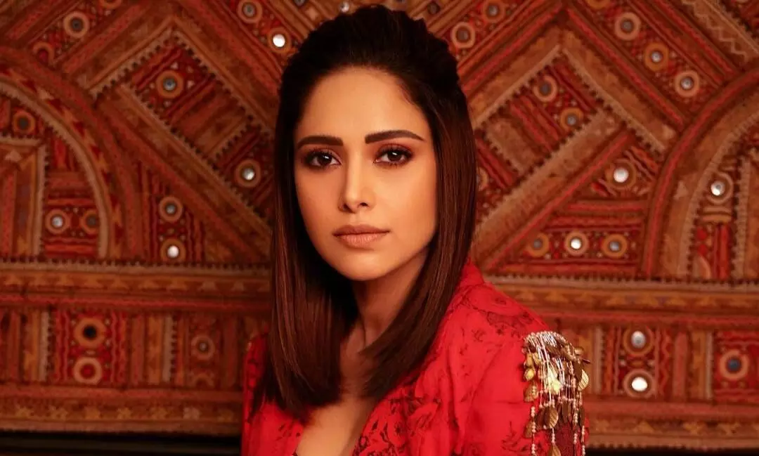 Didn’t like Pyaar Ka Punchnama ‘personally’: Nushrratt Bharuccha Didn’t like Pyaar Ka Punchnama ‘personally’: Nushrratt Bharuccha
