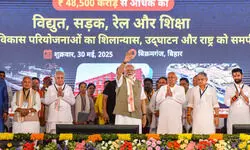 Terror like serpent; will drag it out of hole, trample if it raises hood again: Modi at Bihar rally Terror like serpent; will drag it out of hole, trample if it raises hood again: Modi at Bihar rally