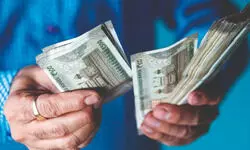 Govt achieves fiscal deficit target of 4.8% of GDP for fiscal 2024-25 Govt achieves fiscal deficit target of 4.8% of GDP for fiscal 2024-25