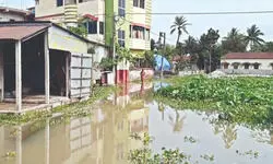 Atreyee Canal erosion sparks fear of collapse in Balurghat