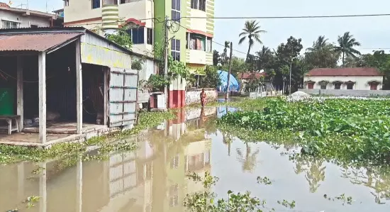 Atreyee Canal erosion sparks fear of collapse in Balurghat Atreyee Canal erosion sparks fear of collapse in Balurghat
