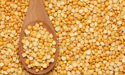 Govt extends duty-free import of yellow peas till March 2026 Govt extends duty-free import of yellow peas till March 2026