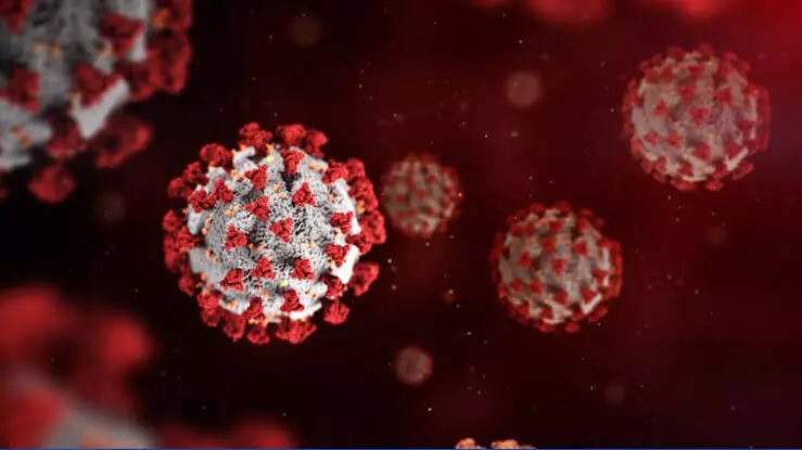 Active Covid cases in India rise to 3,395; Kerala, Maharashtra top chart Active Covid cases in India rise to 3,395; Kerala, Maharashtra top chart