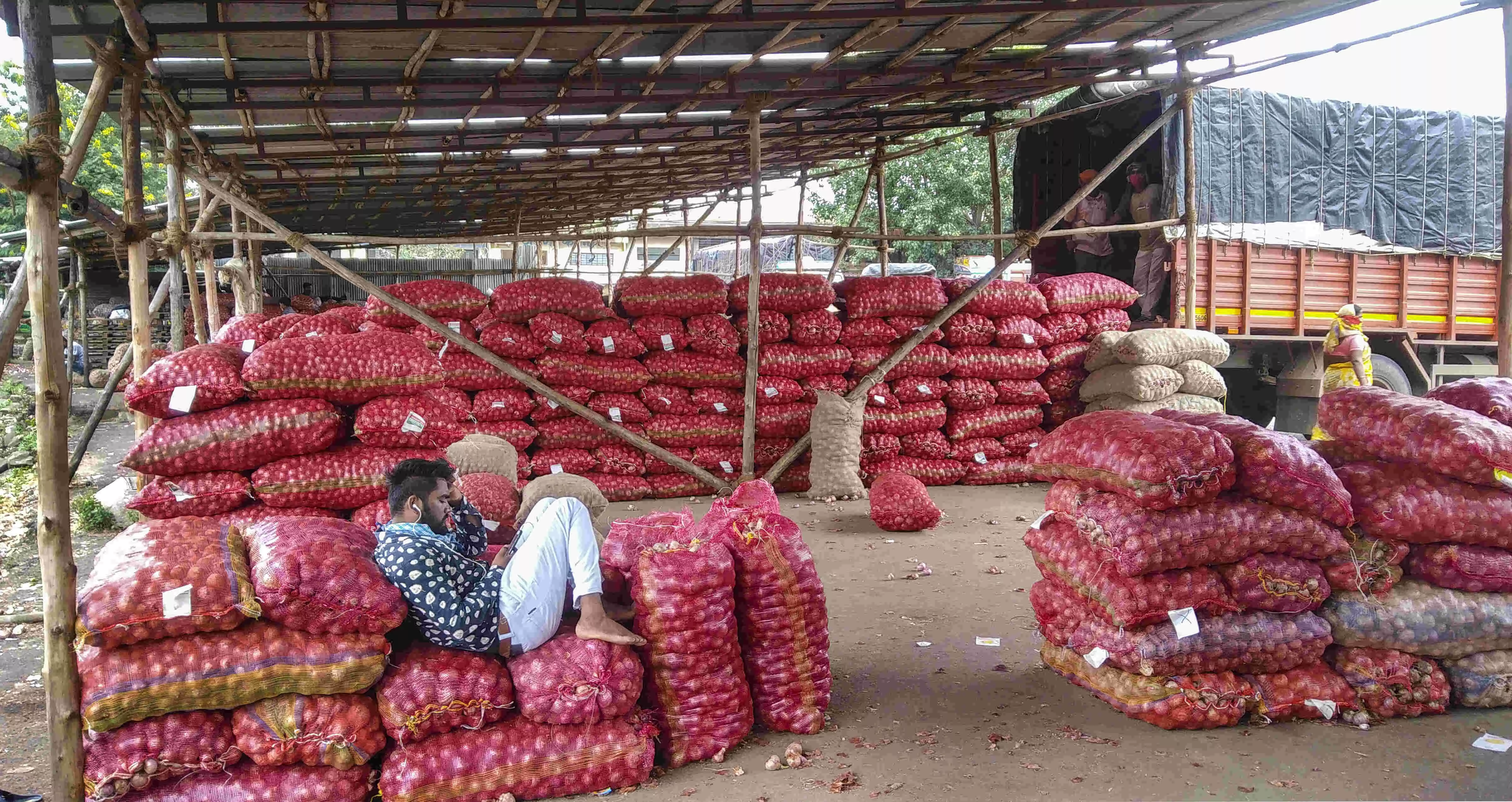 Onion growers body seeks Rs 1 lakh per acre for crop damage due to rains