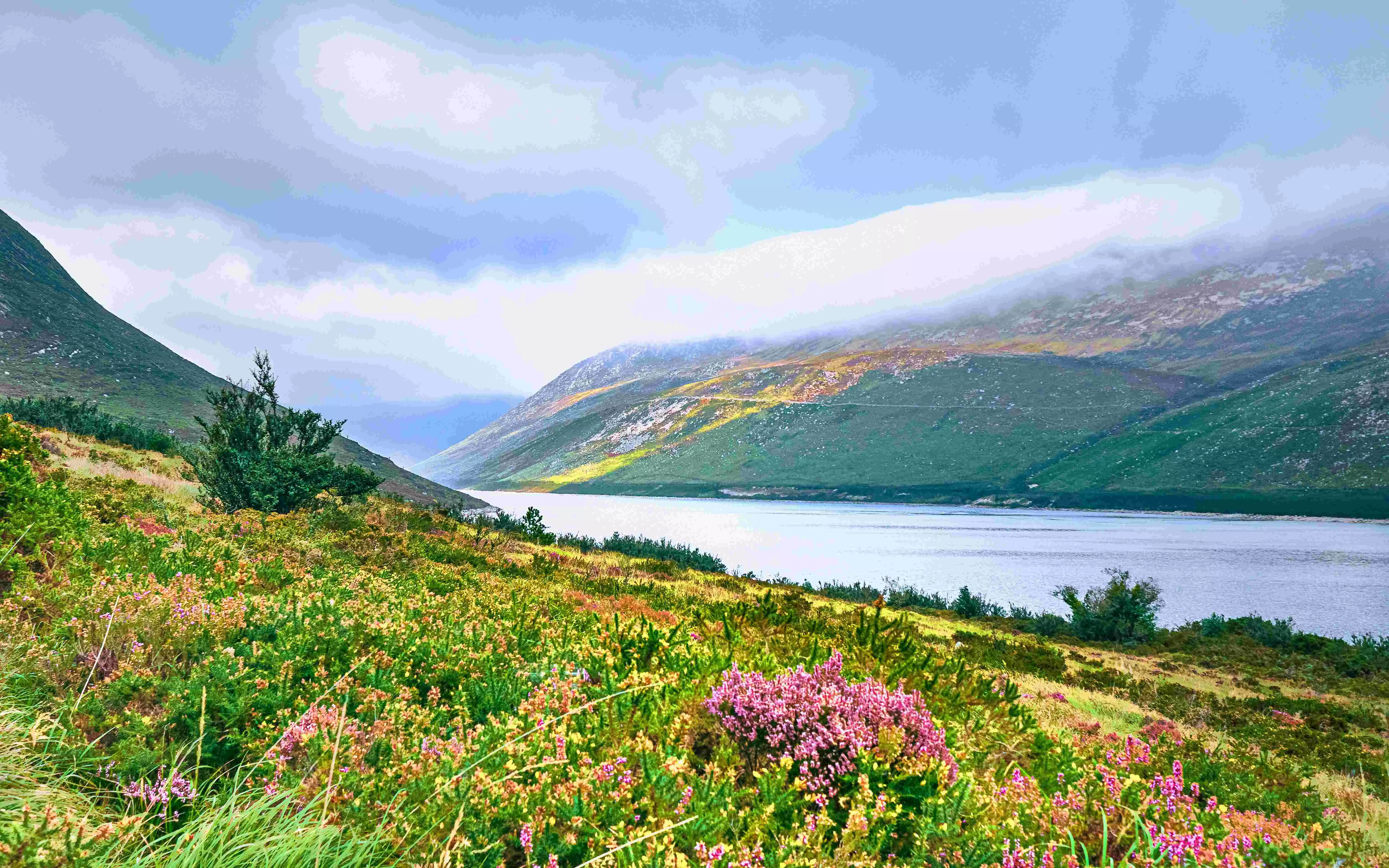 Valley of Flowers in Ukhands Chamoli opens for this season Valley of Flowers in Ukhands Chamoli opens for this season