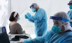 Submit status on Covid sample collection: HC instructs Centre Submit status on Covid sample collection: HC instructs Centre