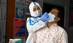 Bengal records 44 new Covid-19 cases Bengal records 44 new Covid-19 cases