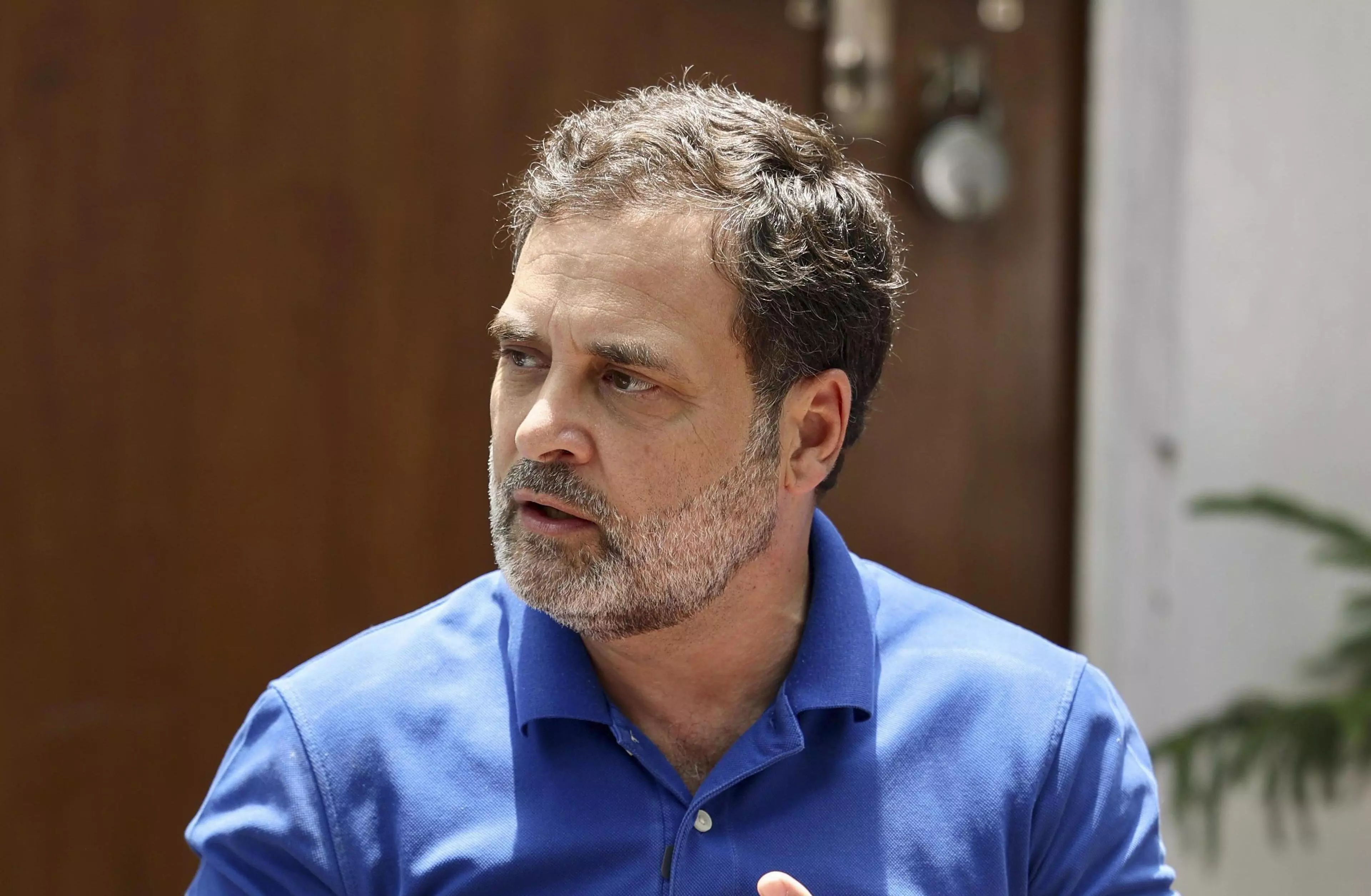 Rahul Gandhi moves Jharkhand HC to challenge personal appearance before MP-MLA court in Chaibasa