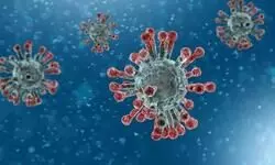 Bengal reports 41 fresh COVID-19 cases, 1 death