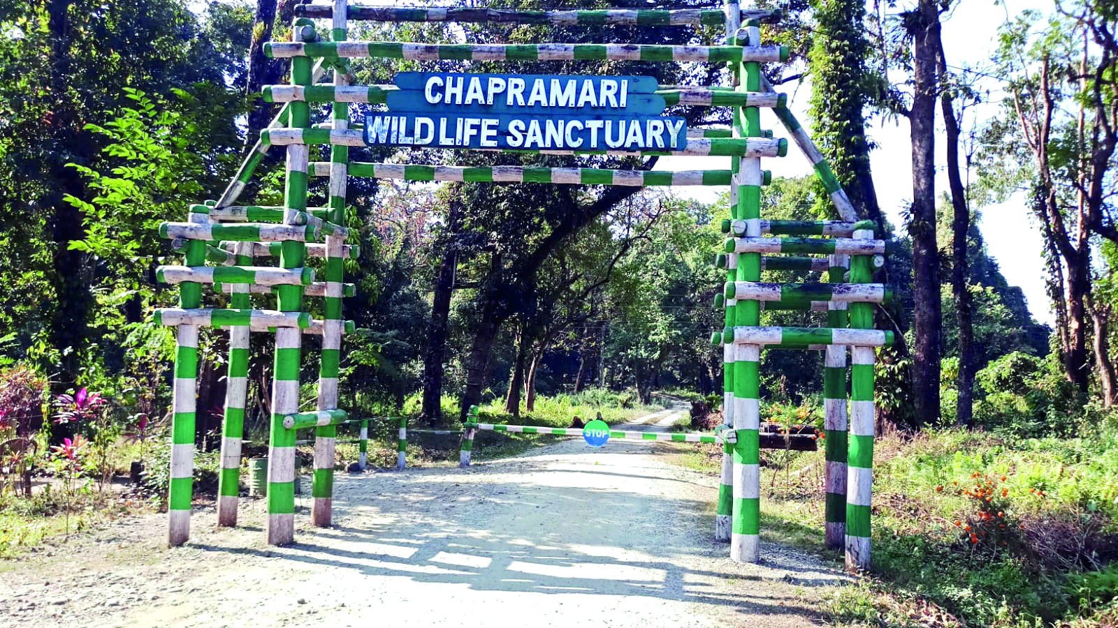 State finalises monitoring committees for Gorumara and Chapramari eco-sensitive zones State finalises monitoring committees for Gorumara and Chapramari eco-sensitive zones
