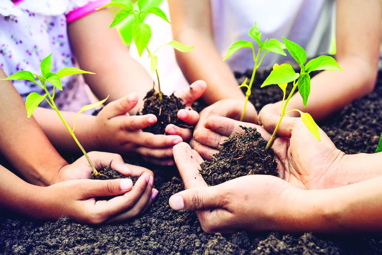 Sacred Earth, Shared Future