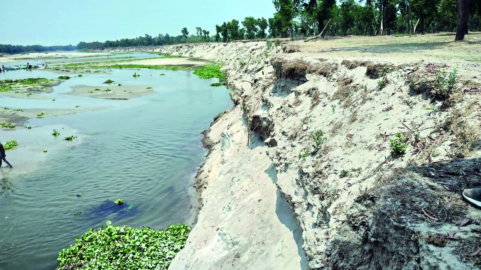 ‘This year alone, nearly 10 feet of the riverbank has collapsed’: Heavy rainfall triggers riverbank erosion in Balurghat’s Dangi Forest ‘This year alone, nearly 10 feet of the riverbank has collapsed’: Heavy rainfall triggers riverbank erosion in Balurghat’s Dangi Forest