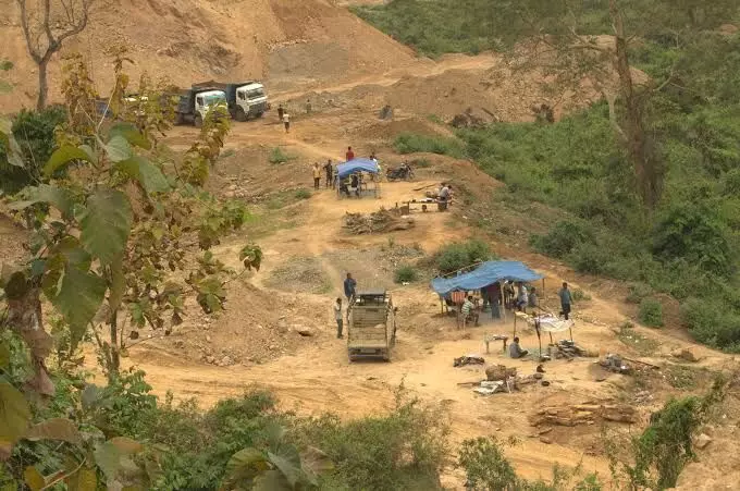 Illegal mining near Kaziranga intensified despite SC ban: CEC report Illegal mining near Kaziranga intensified despite SC ban: CEC report