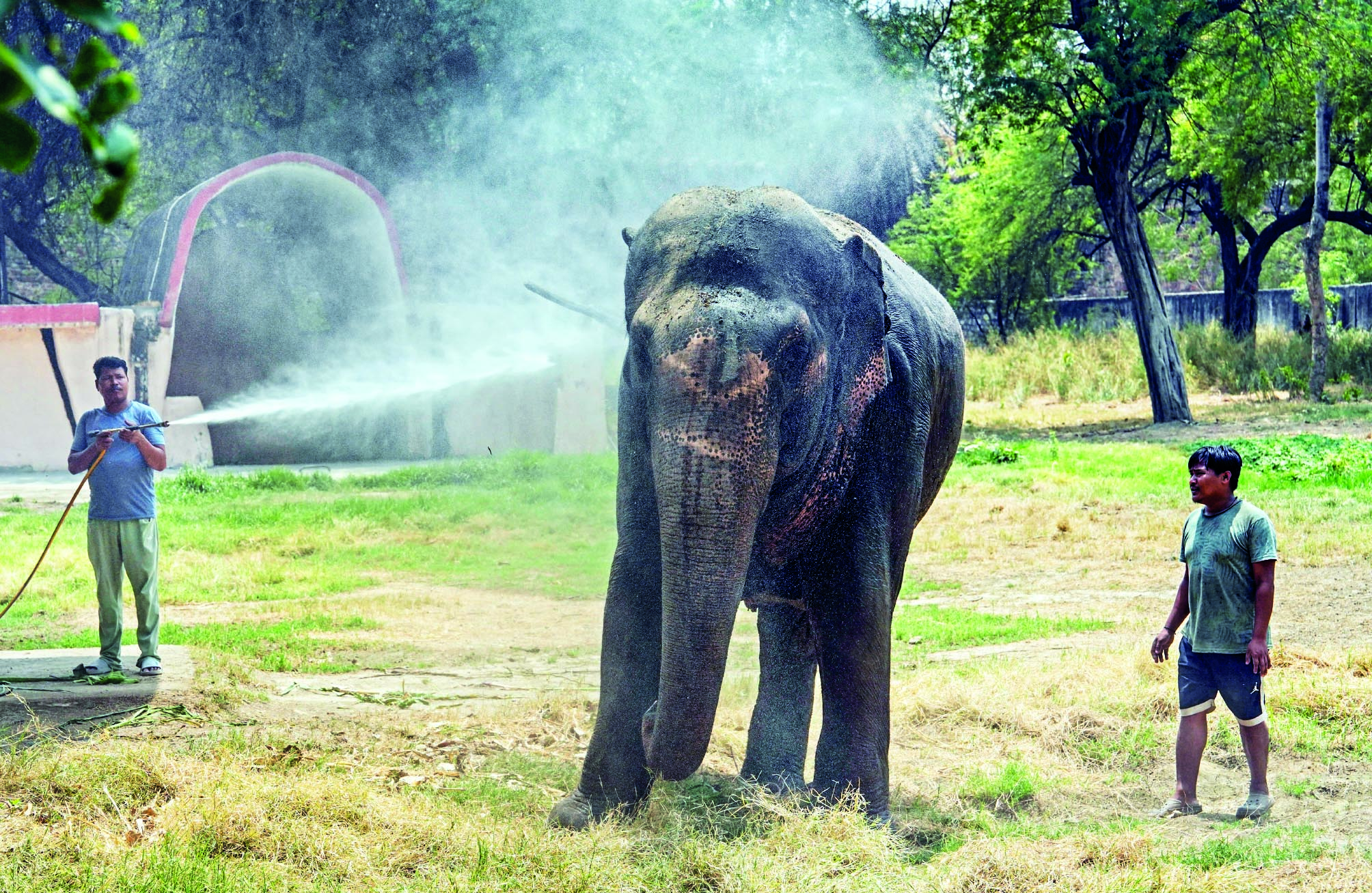 Night safari, joint entry with Purana Qila planned at Zoo Night safari, joint entry with Purana Qila planned at Zoo