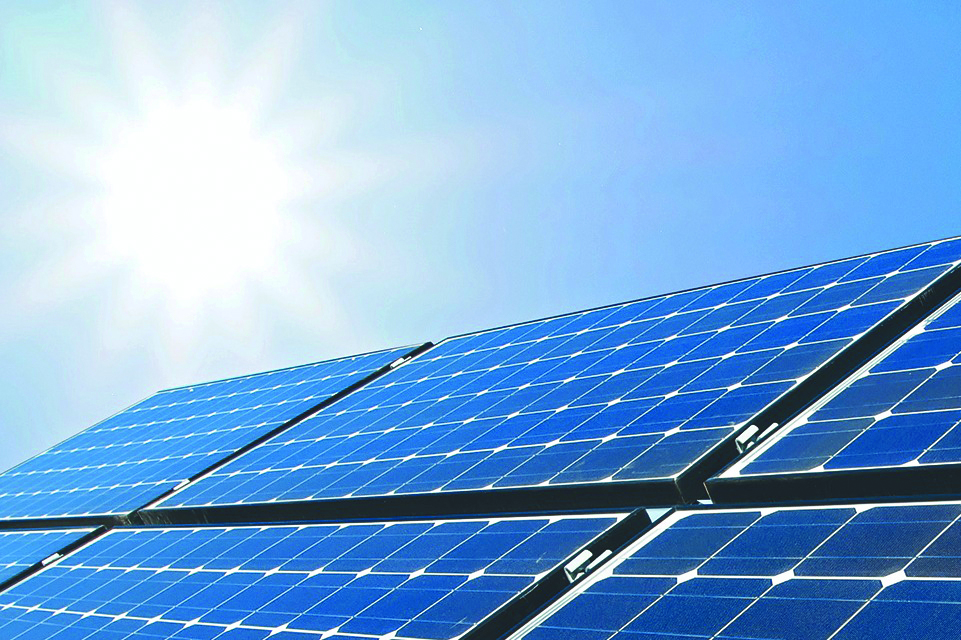 India’s green push gains global spotlight with record renewable growth, wildlife revival India’s green push gains global spotlight with record renewable growth, wildlife revival
