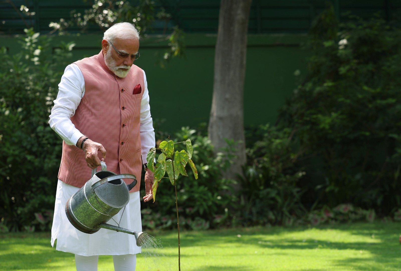 On World Environment Day, PM Modi plants sindoor sapling at residence