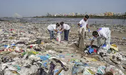 World Environment Day: From policy to enforcement, UNEP chief calls for stronger action on plastics and climate
