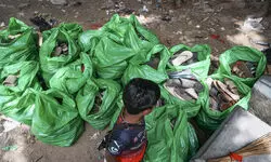 FIR against RCB, event management firm, KSCA for stampede near Chinnaswamy cricket stadium