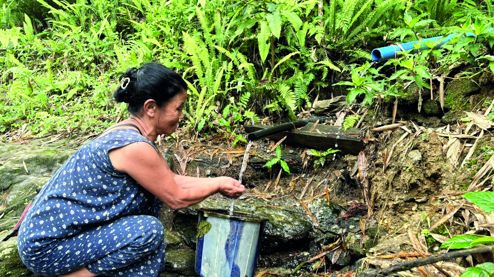 From drought to dignity: Women lead a springshed revival movement in Kalimpong