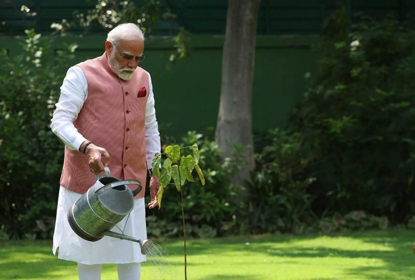 On World Environment Day, PM Modi plants sindoor sapling at residence On World Environment Day, PM Modi plants sindoor sapling at residence