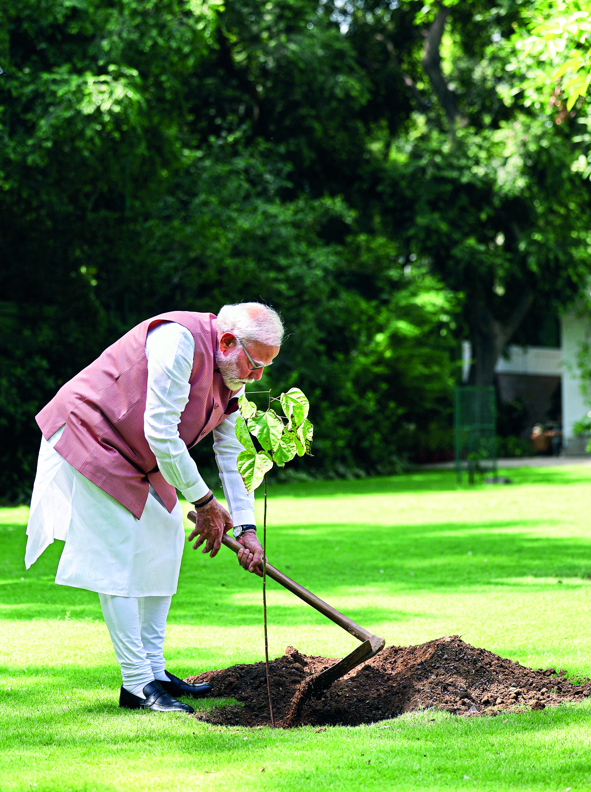 PM launches reforestation effort to revive Aravalli mountain range PM launches reforestation effort to revive Aravalli mountain range
