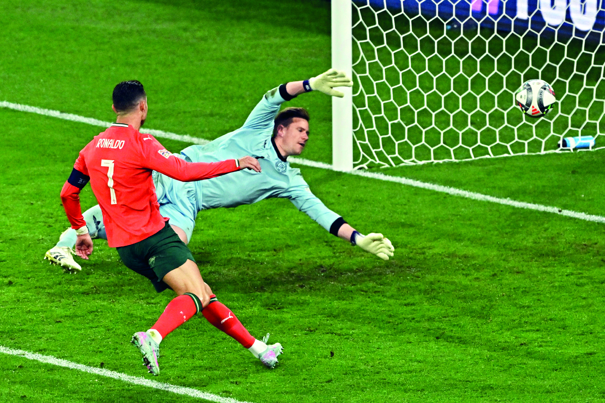 Mr Portugoal Mr Portugoal