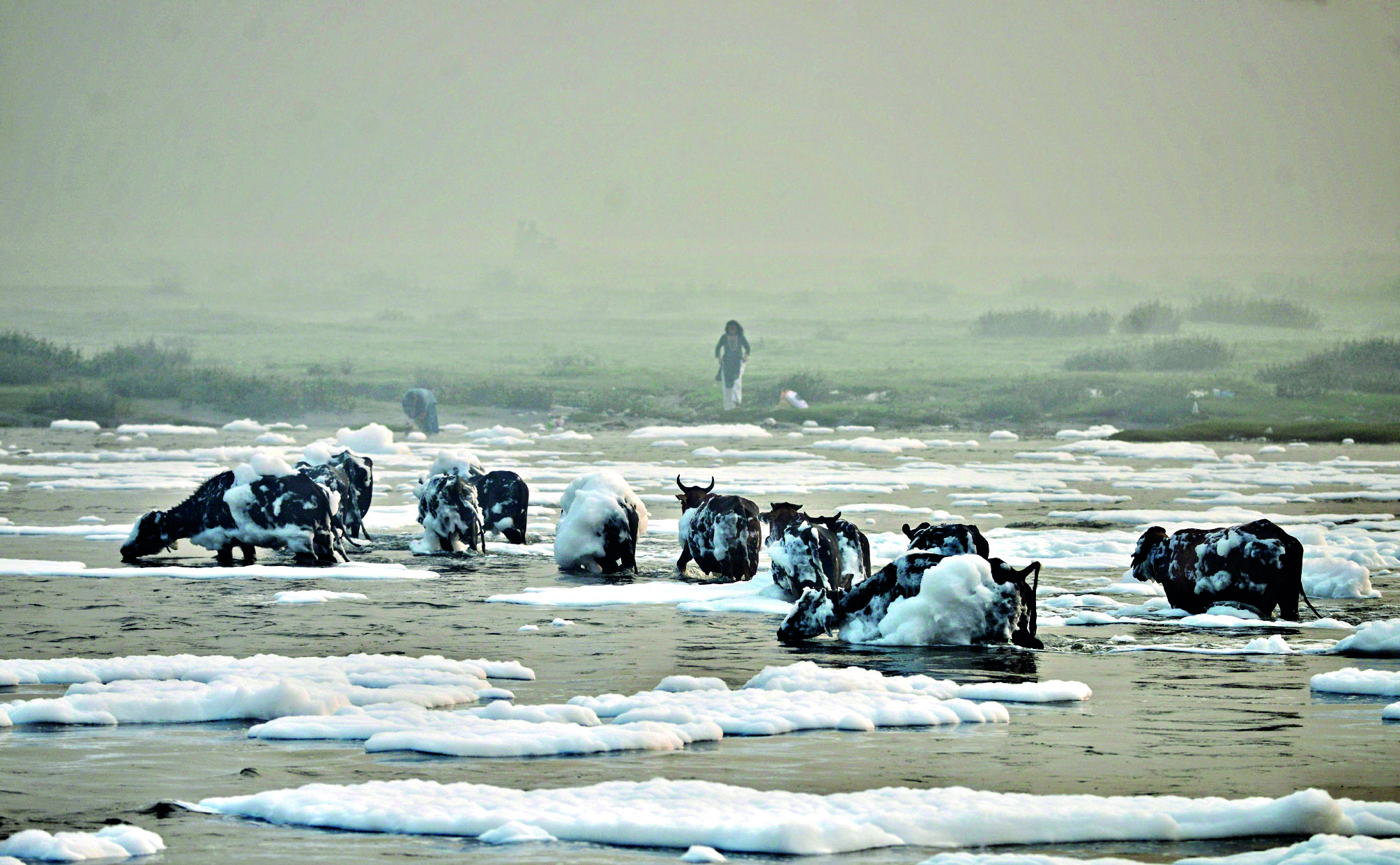Emotional bond, toxic waters: City’s Yamuna pollution at 76% Emotional bond, toxic waters: City’s Yamuna pollution at 76%